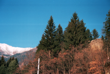 Burgruine Feldsberg